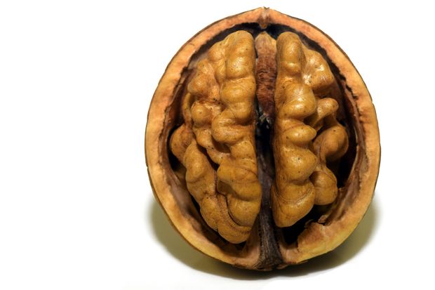 Best brain foods to eat before a test (+ sample grocery list!)